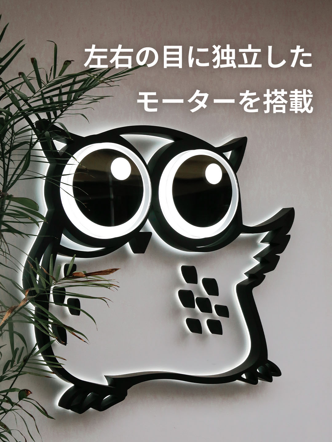 user